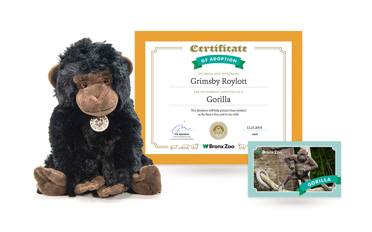 Adopt a Gorilla  Symbolic Adoptions from WWF