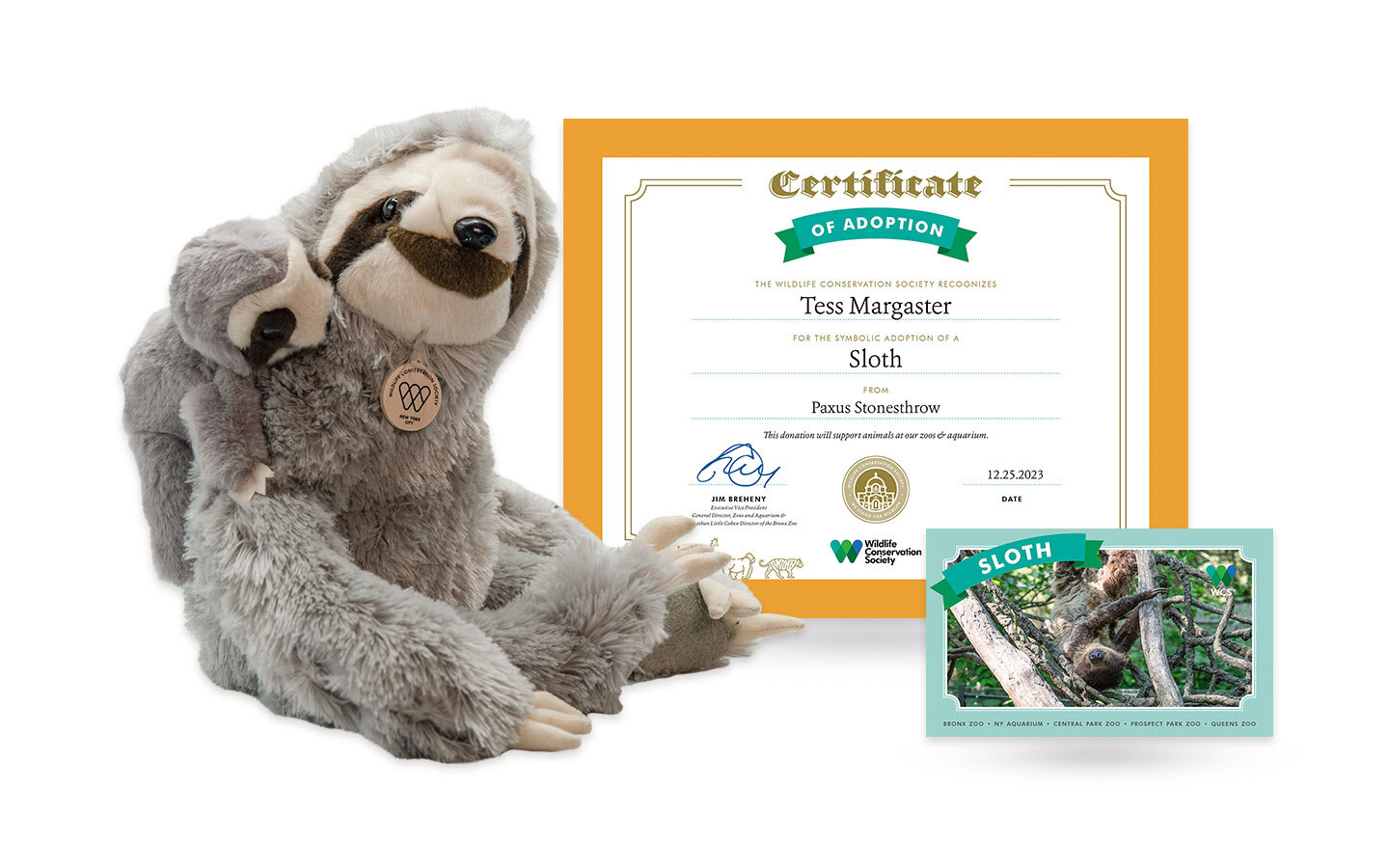 Adopt a Sloth Baby & Me WCS