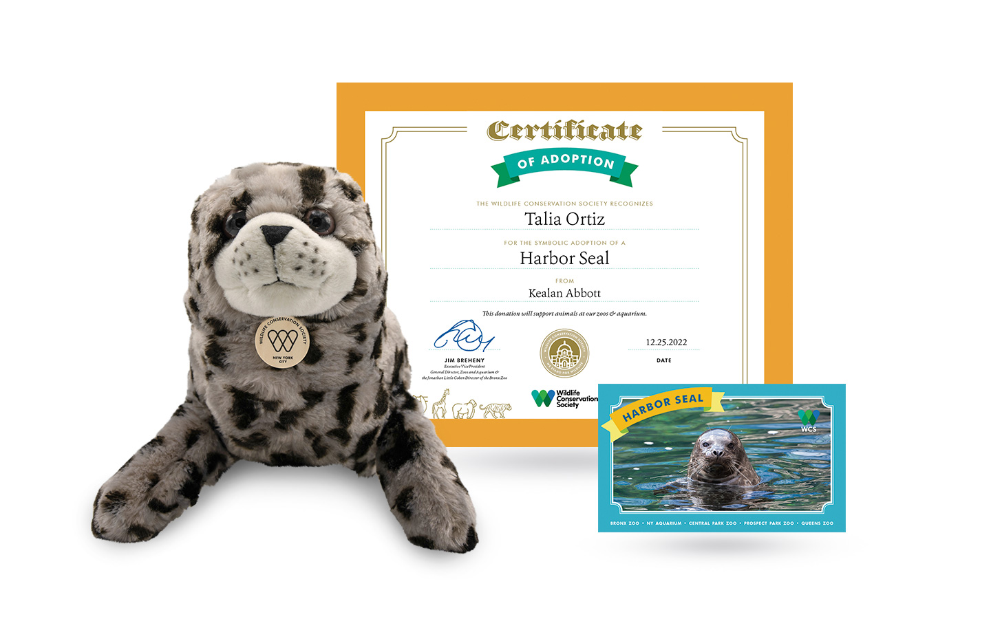 Adopt a Capybara  Symbolic Adoptions from WWF