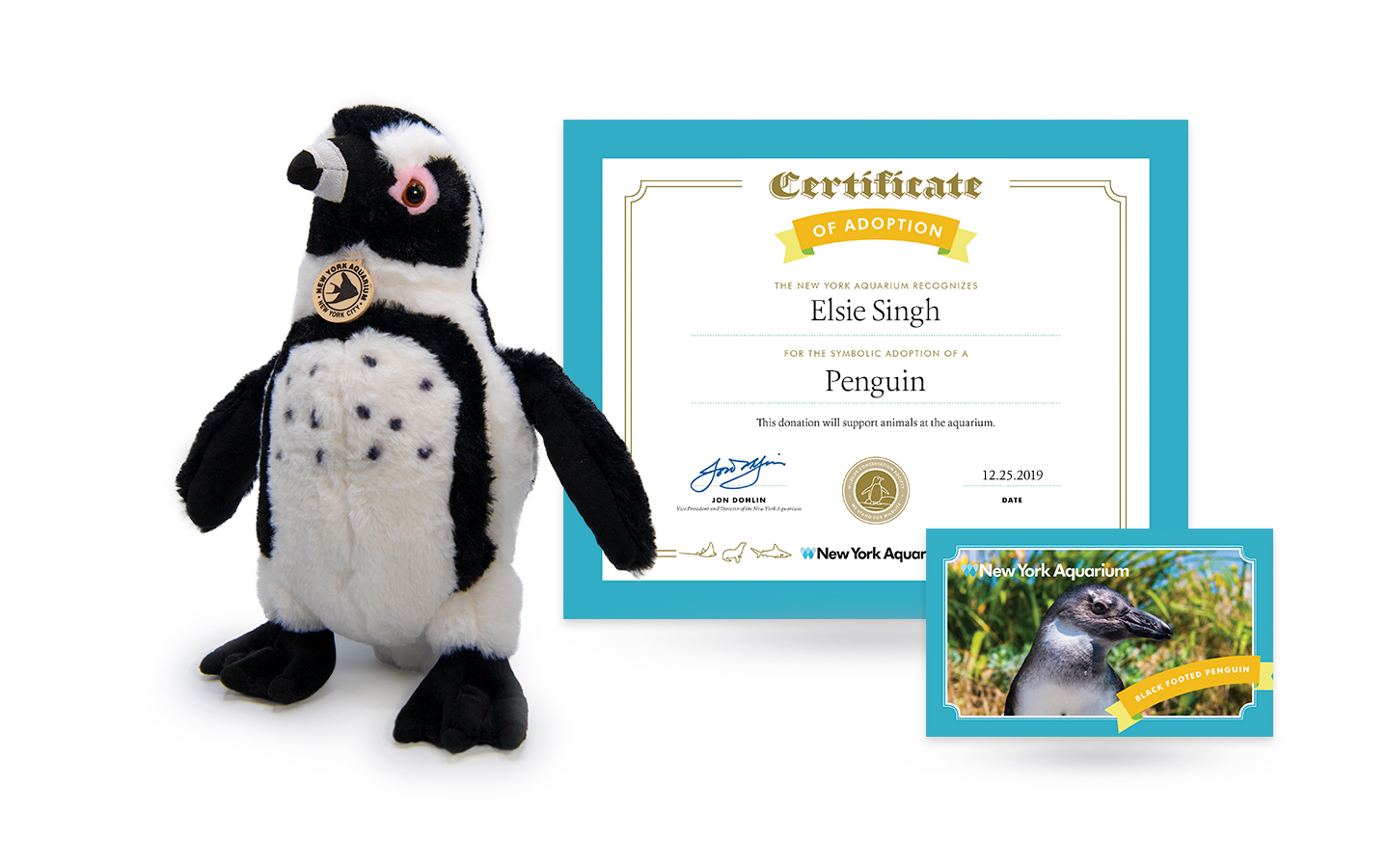 Symbolic Adoption black-footed penguin