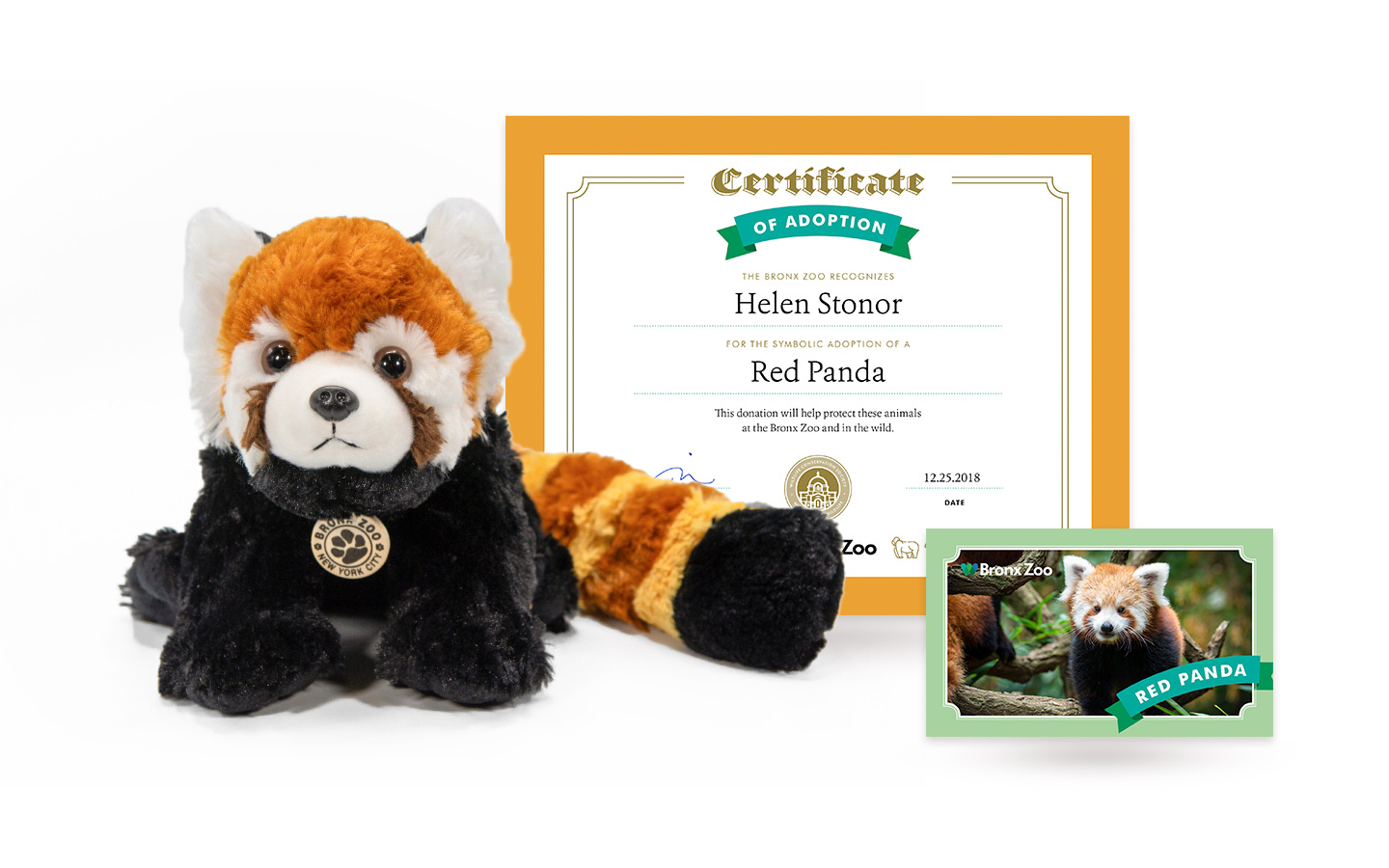 Adopt a Red Panda WCS