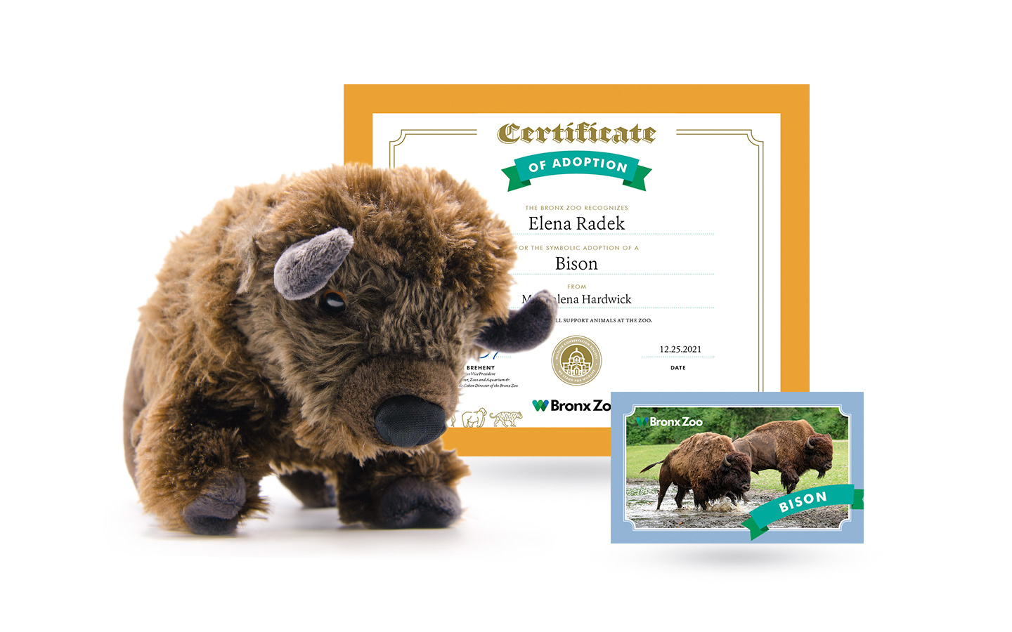 Adopt a Bison  Symbolic Adoptions from WWF