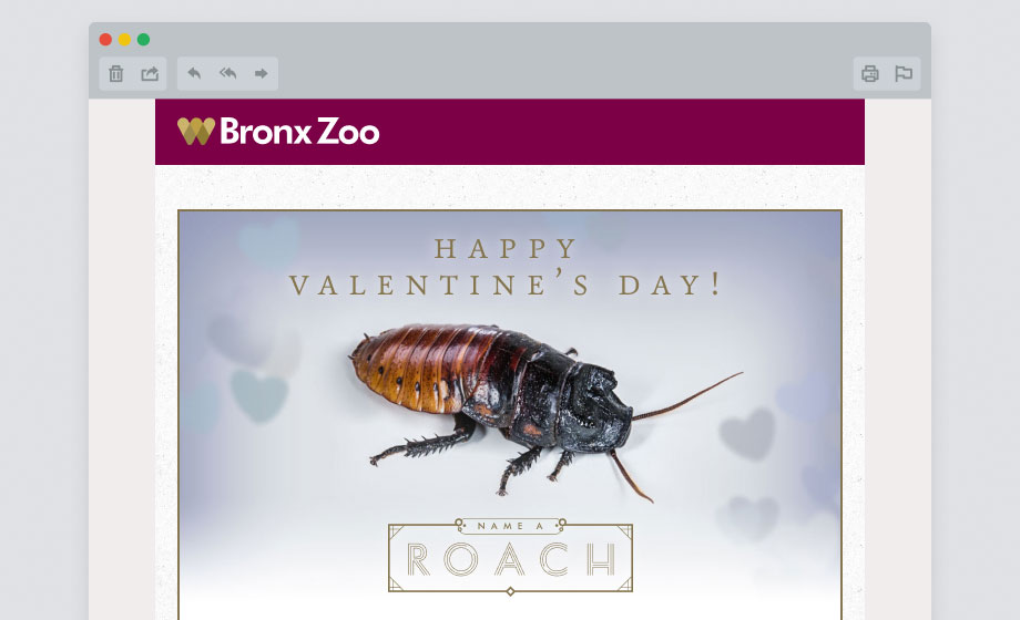 bz-roach-email-certificate.jpg
