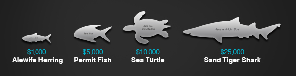 samples of Sealife Wall plaques at the New York Aquarium