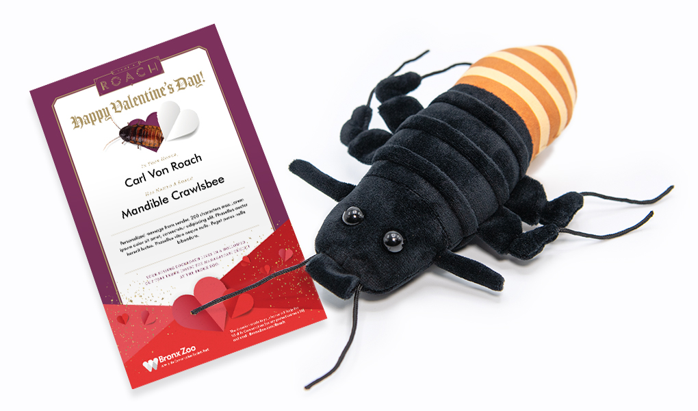 cockroach plush